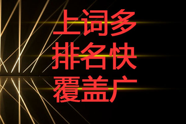 成都企業(yè)網(wǎng)站優(yōu)化推廣幾個問題